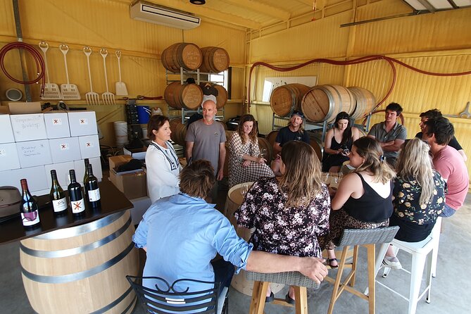 7- 8 Hour StelaVino Guided Wine Tours From Hobart, Tasmania - Visit Wine Regions