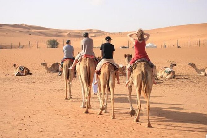 7-8 Hours Private Desert Adventure Trip With Activities - Accessibility and Restrictions