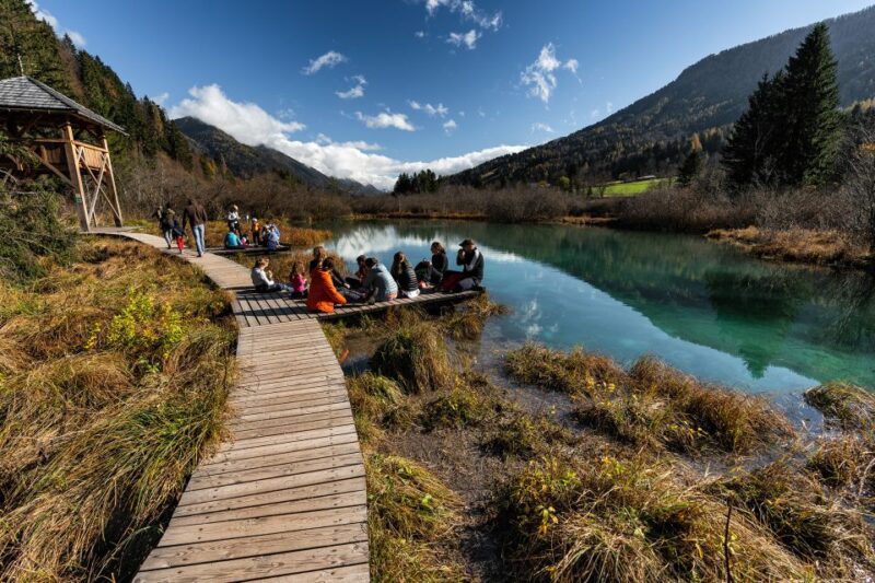 7 Alpine Wonders - Customer Testimonials
