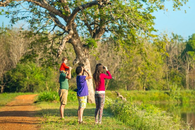 7-Day Amazing Sri Lanka Hideouts - Accommodations and Dining Options