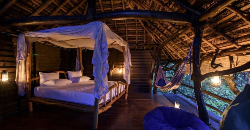 7-Day Amazing Sri Lanka Hideouts - Accommodation and Meals