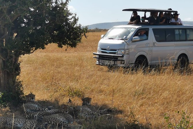 7-Day Amboseli, Naivaisha, Maasai Mara and Lake Nakuru National Parks - Airport Transfer and Pickup Options