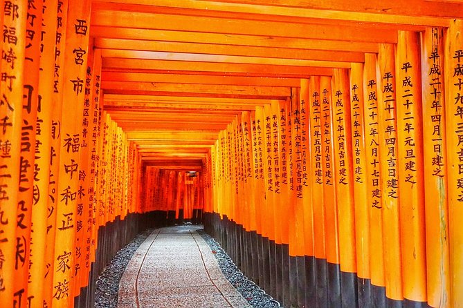 7-Day Best Japan Tour - Guided Services