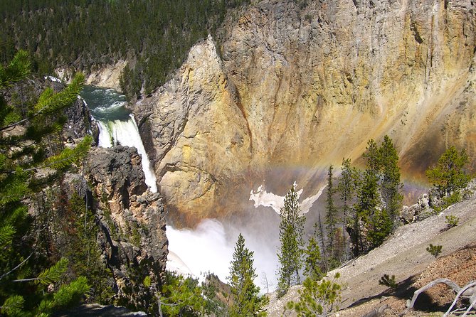 7-Day Camping Tour: Bryce Canyon, Grand Tetons, Yellowstone From Las Vegas - Traveler Reviews