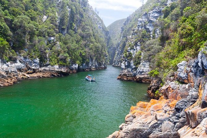 7-day Cape Town, Winelands, Garden Route and Addo National Park - Key Points
