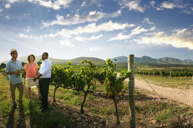 7-day Cape Town, Winelands, Garden Route and Addo National Park - Booking Information and Tips