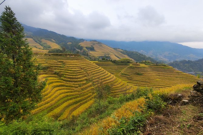 7-Day China Private Tour Review - Pickup Information