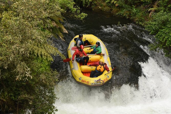 7-Day Coasts and Culture Tour From Wellington - Accommodations and Meals