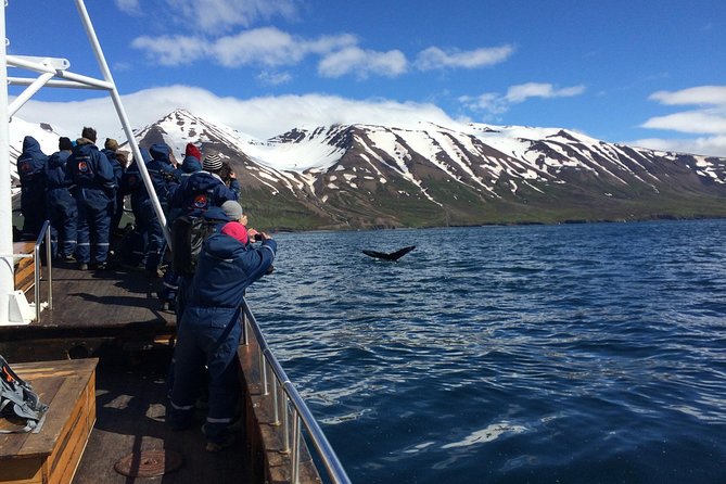 7-Day Complete Iceland: South Coast, Golden Circle, Akureyri & Snaefellsnes - Itinerary: Snaefellsnes Peninsula