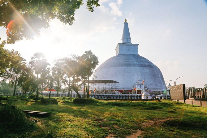 7-Day Culture and Heritage Tour of Sri Lanka - Traveler Testimonials