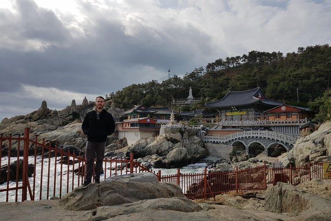 7 Day Essential Korea Tour(Seoul, Nami, DMZ, Andong, Gyeongju, Busan_Meal Incl.) - Day 3: Visiting the DMZ