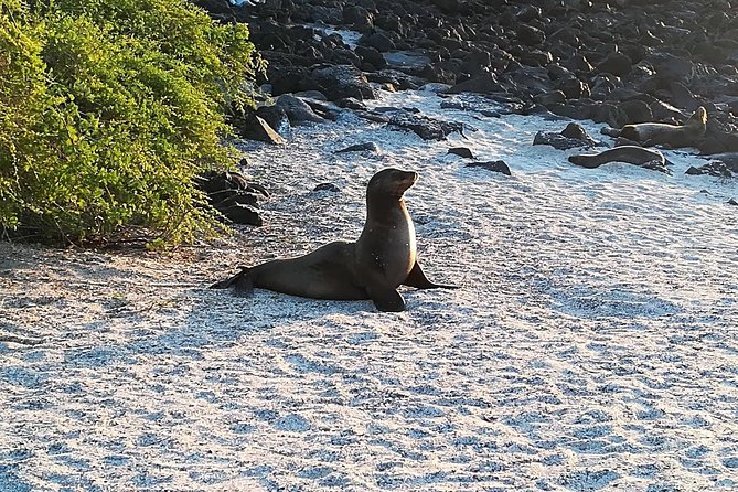 7-Day Galapagos Adventure Including Santa Cruz & Isabela Islands - Discover Santa Cruz Island