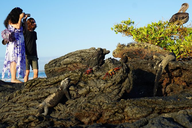 7-Day Galapagos Essentials - Exploring Quitos Historic Center