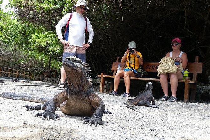7-Day Galapagos Essentials - Important Details to Note