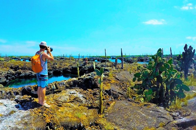 7-Day Galapagos Island Hopping Tour: Tortuga Bay, Tintoreras, Wildlife Watching - Inclusions and Pricing