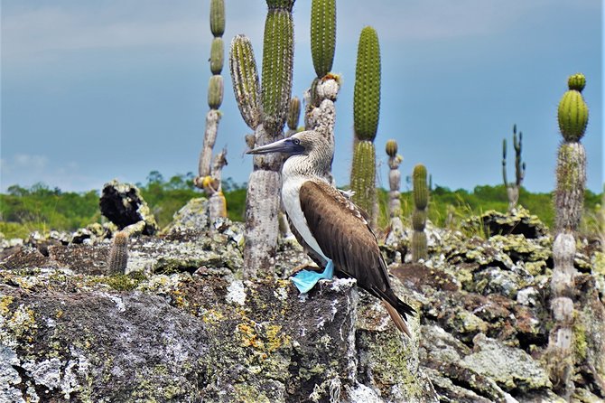 7-Day Galapagos Magic Expedition - Accommodations and Amenities