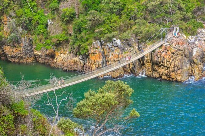 7-Day Garden Route Safari Adventure from Cape Town - Final Thoughts