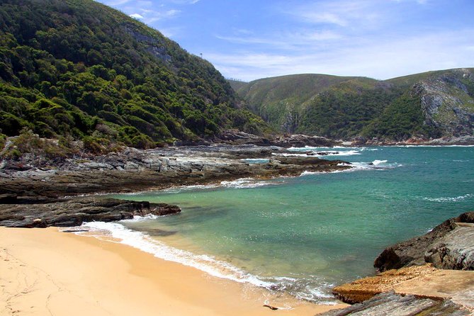 7 Day Garden Route to Addo, Cape Point and Winelands Combo Tour - Winelands Tasting Tour