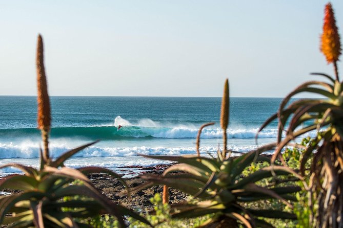 7 Day Garden Route to Addo, Cape Point and Winelands Combo Tour - Included in the Tour