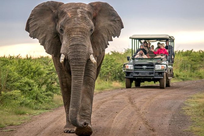 7 Day Garden Route to Addo, Cape Point and Winelands Combo Tour - General Tour Information