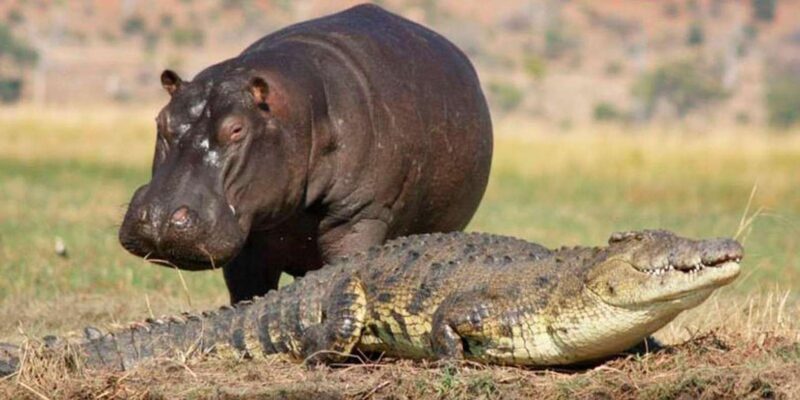 7 Day Garden Route Tour- Durban to Cape Town via Addo N Park - Itinerary Highlights