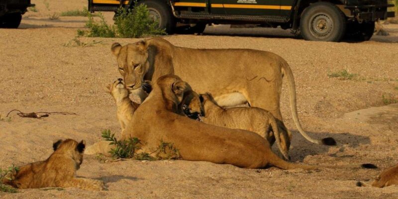 7 Day Garden Route Tour- Durban to Cape Town via Addo N Park - Locations Covered