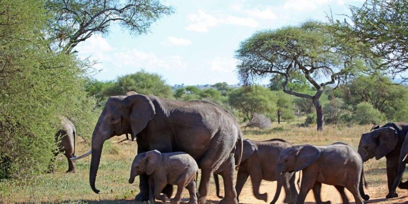 7 Day Garden Route Tour- Durban to Cape Town via Addo N Park - Accommodations