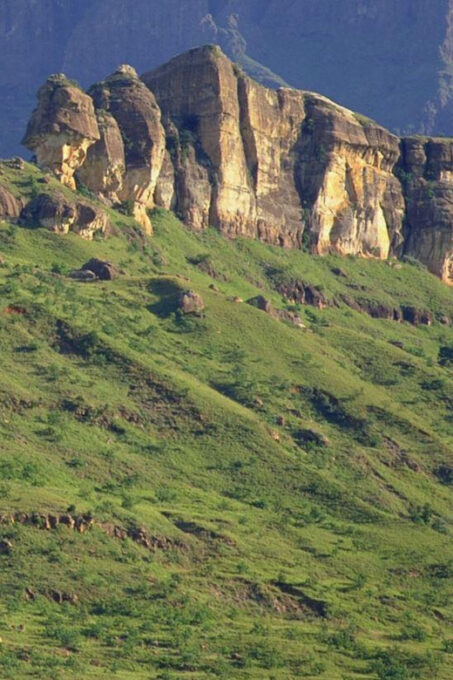 7 Day Garden Route Tour- Durban to Cape Town via Addo N Park - East London to Addo National Park
