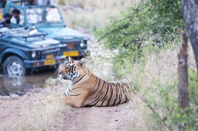 7-Day Golden Triangle Tour with Ranthambore Tiger Safari - Key Points
