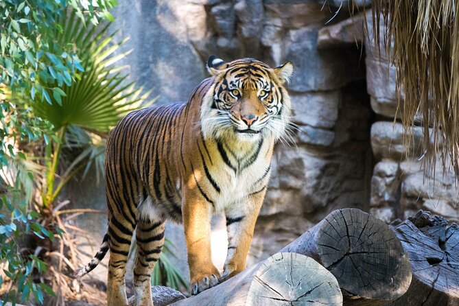7 Day Golden Triangle Tour With Wildlife -Taj, Tigers, & Birds - Inclusions