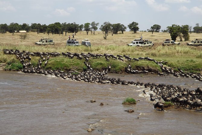 7-Day Great Migration Safari - Inclusions