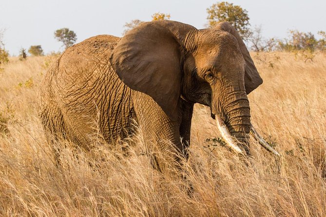 7-Day Great Migration Safari - Booking and Cancellation