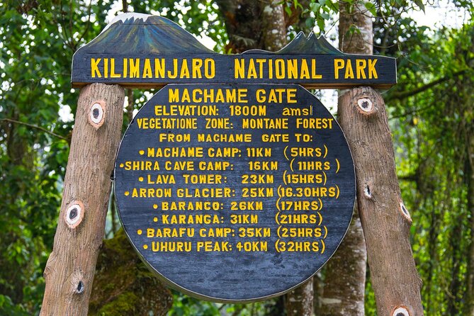 7-Day Guided Mount Kilimanjaro Climb by Machame Route - Meeting and Pickup