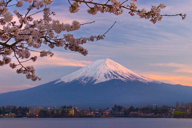 7-Day Guided Tour in Tokyo, Mount Fuji, Kyoto, Nara and Osaka - Accommodation and Meals