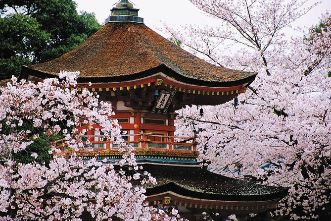 7-Day Guided Tour in Tokyo, Mount Fuji, Kyoto, Nara and Osaka - Pickup and Dropoff Times