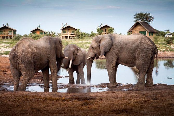 7 Day Highlights Of Botswana Overland Tour – ACCOMODATED (midrange) - Key Points