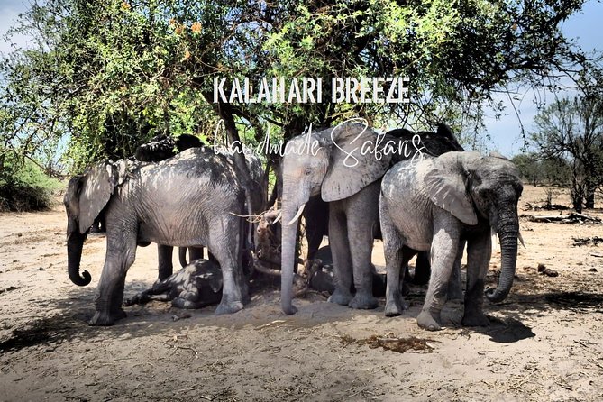 7 Day Highlights Of Botswana Overland Tour – ACCOMODATED (midrange) - Booking Information