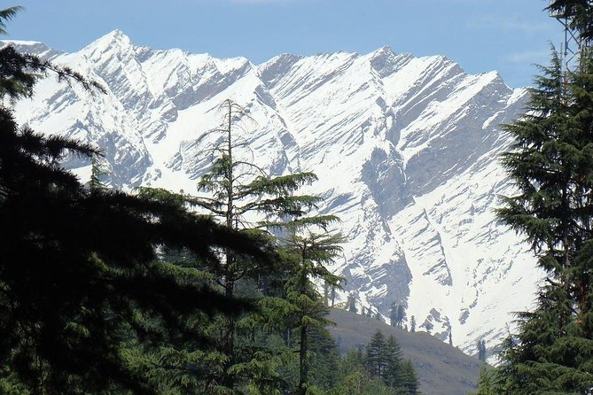 7 Day Hills Station Tour of Shimla Kullu- Manali From Chandigarh - Booking and Cancellation Policy
