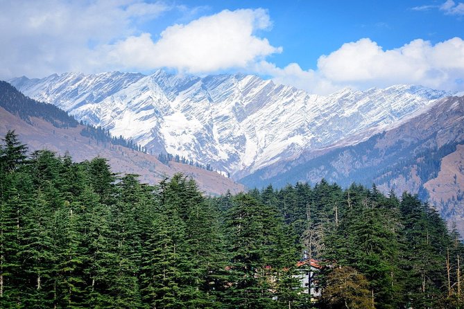7 Day Hills Station Tour of Shimla Kullu- Manali From Chandigarh - Traveler Reviews and Ratings
