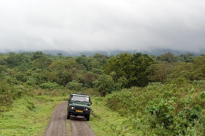 7 Day Joined Safari Serengeti,Ngorongoro,Manyara,Tarangire,Arusha National Park - Serengeti National Park