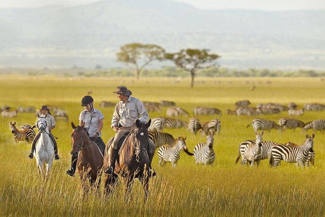 7 Day Joined Safari Serengeti,Ngorongoro,Manyara,Tarangire,Arusha National Park - Lake Manyara National Park