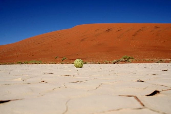 7 Day - Kalahari TOP Attractions - Guide and Expertise