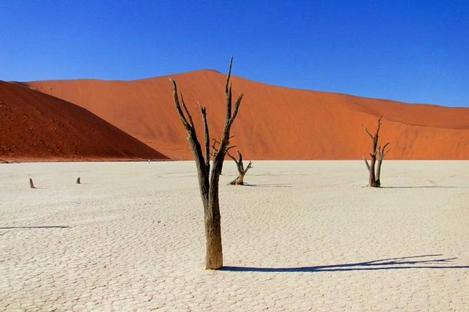 7 Day - Kalahari TOP Attractions - Park Fees and Taxes