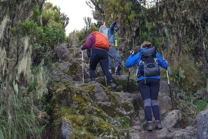 7-Day Kilimanjaro Climb–Lemosho R. Scenic Adventure to the Summit - Inclusions and Exclusions