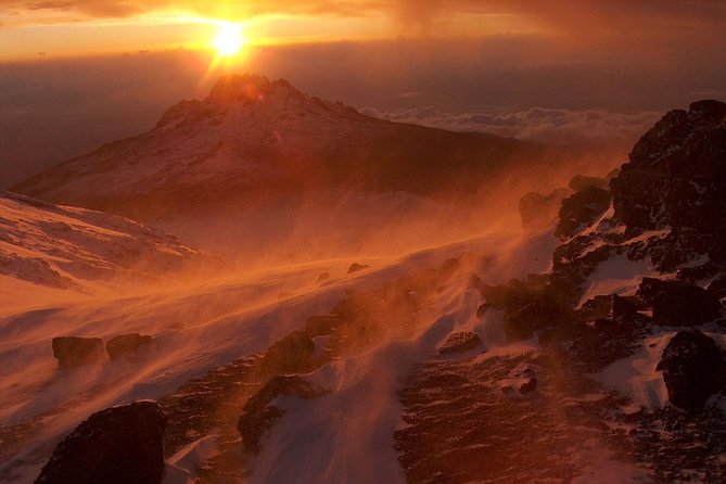 7-Day Kilimanjaro Climb–Lemosho R. Scenic Adventure to the Summit - Pinnacle Adventures & Safaris Ltd