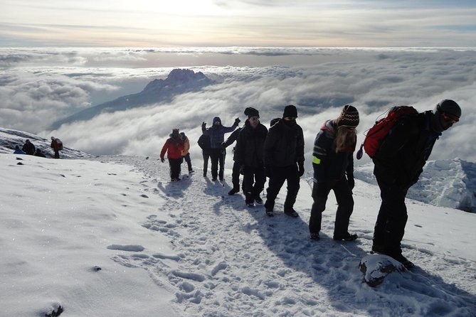 7-Day Kilimanjaro Climb–Lemosho R. Scenic Adventure to the Summit - Positive Customer Feedback