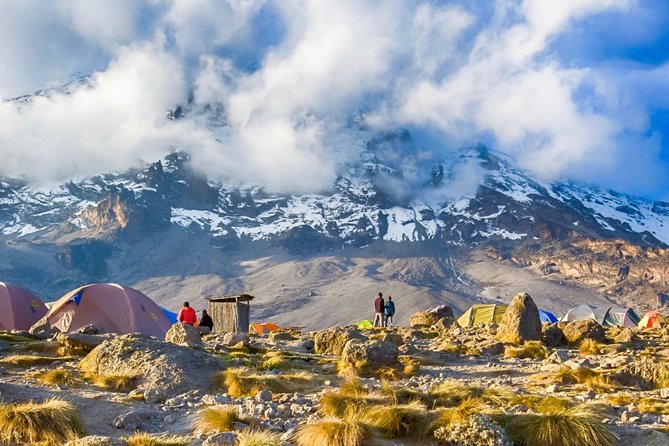 7-Day Kilimanjaro Climb Machame Route–The Best Path to Uhuru Peak - Reviews and Ratings