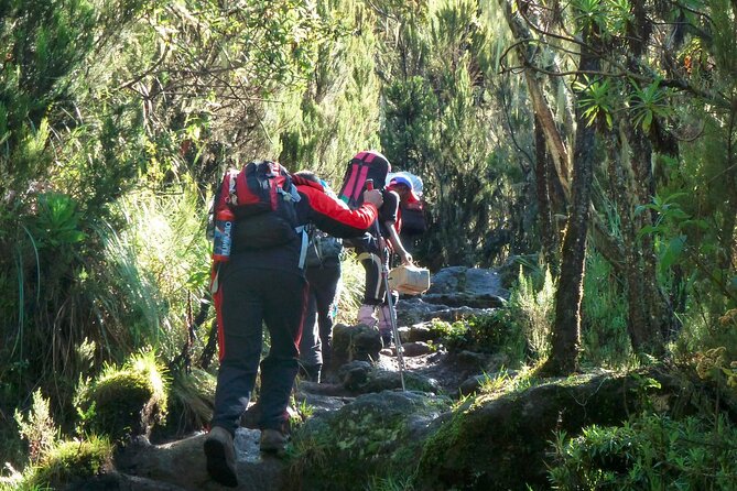 7 Day Kilimanjaro Machame Climb - Meeting and Pickup