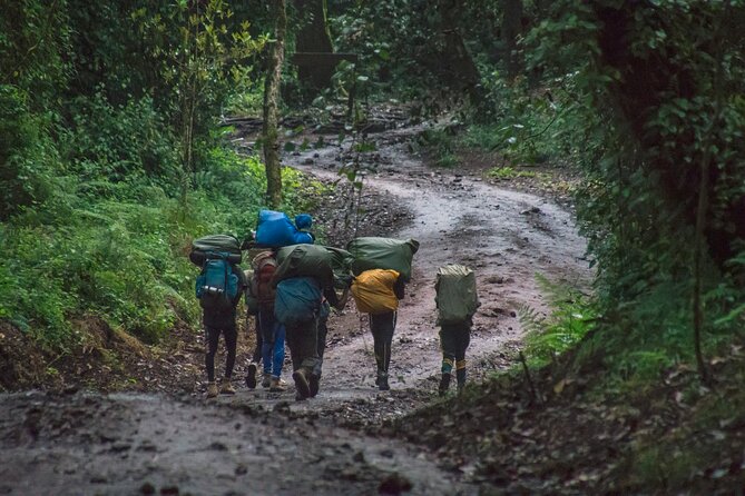 7 Day Kilimanjaro Machame Climb - Additional Details