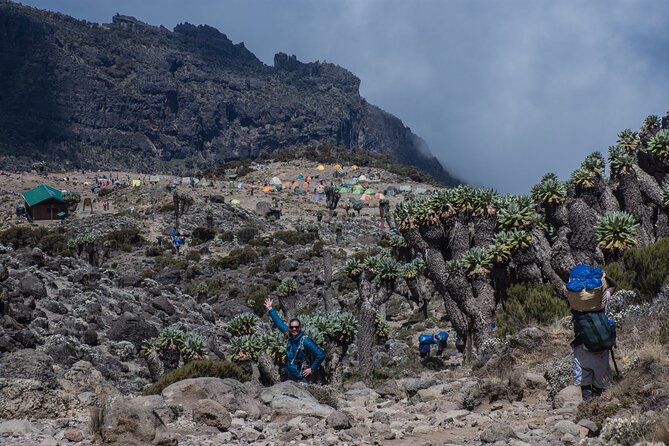 7 Day Kilimanjaro Machame Climb - Booking and Cancellation